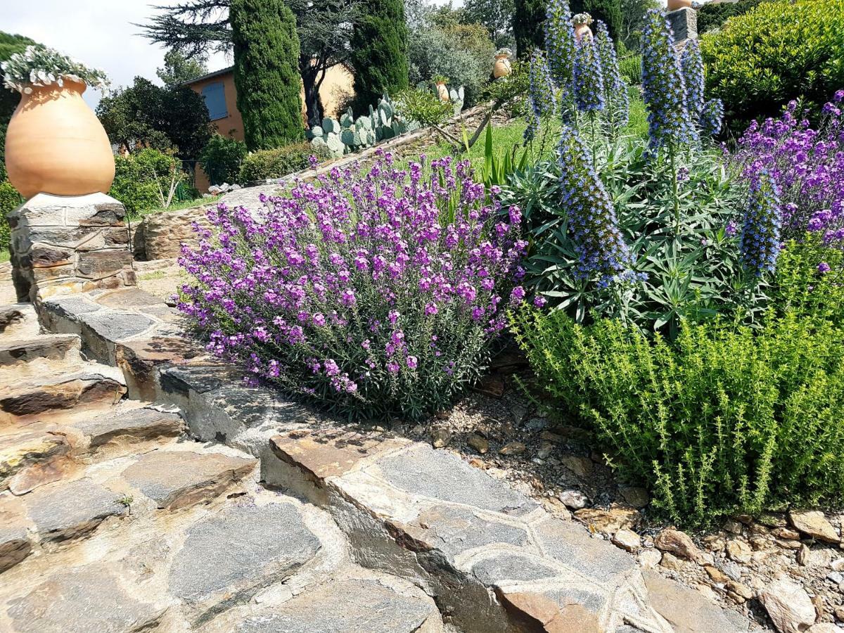 Villa Adriandre เลอรายอล-กานาเดล-โซร์-แม ภายนอก รูปภาพ